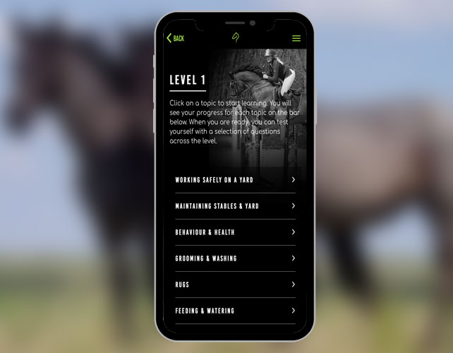 Equestion –Interactive Horse Care Learning Platform 